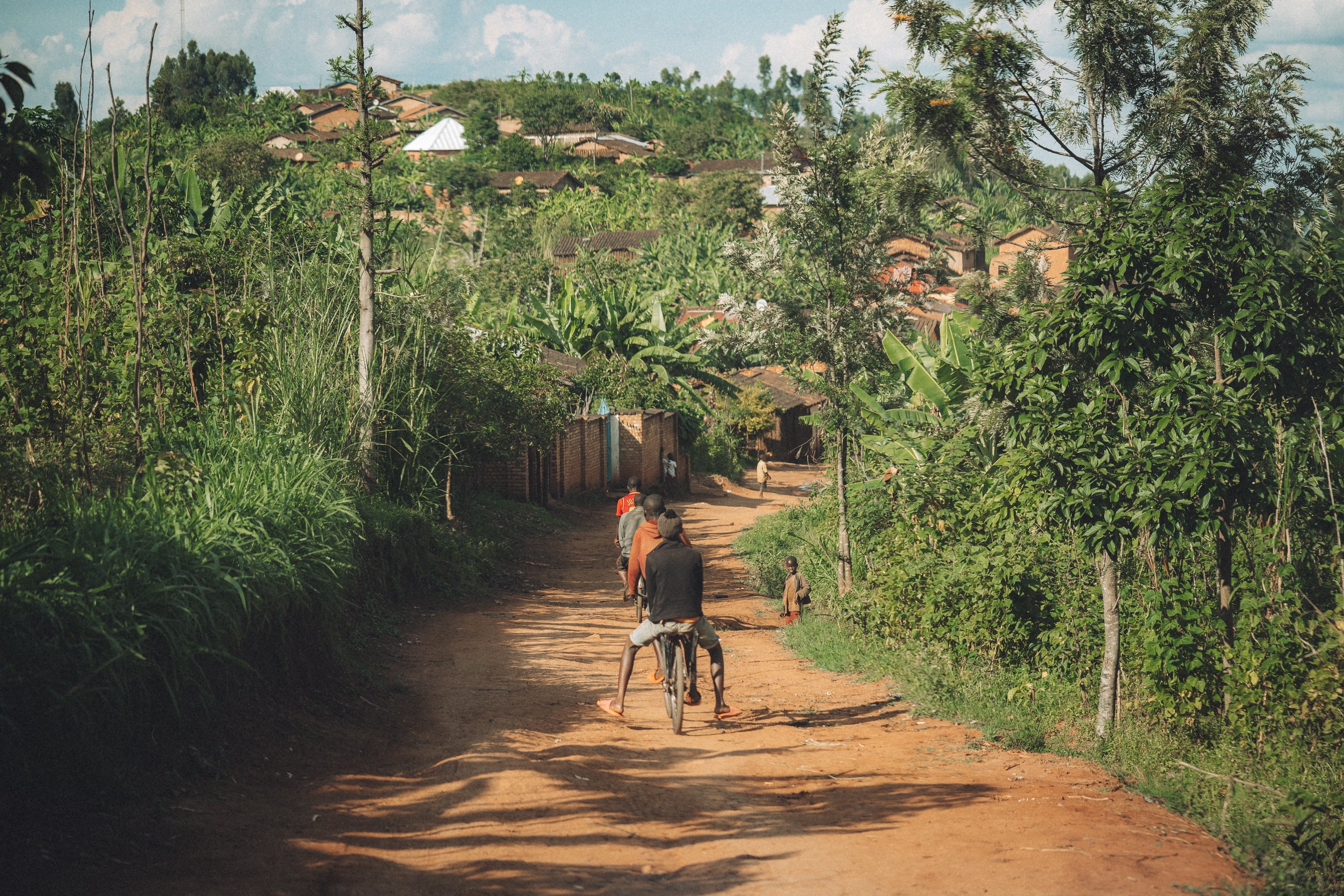 Burundi - Ninga Hill