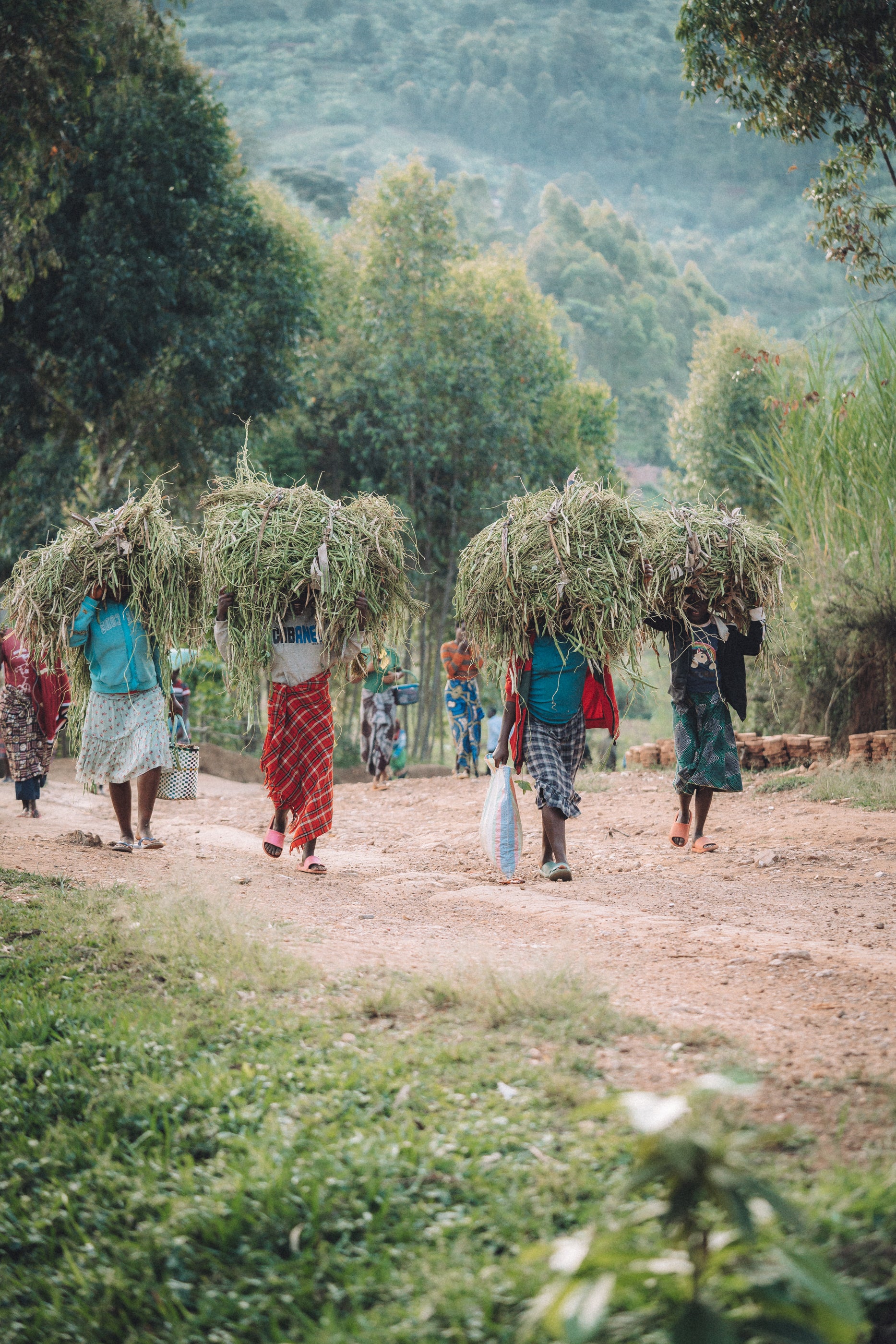 Burundi - Ninga Hill