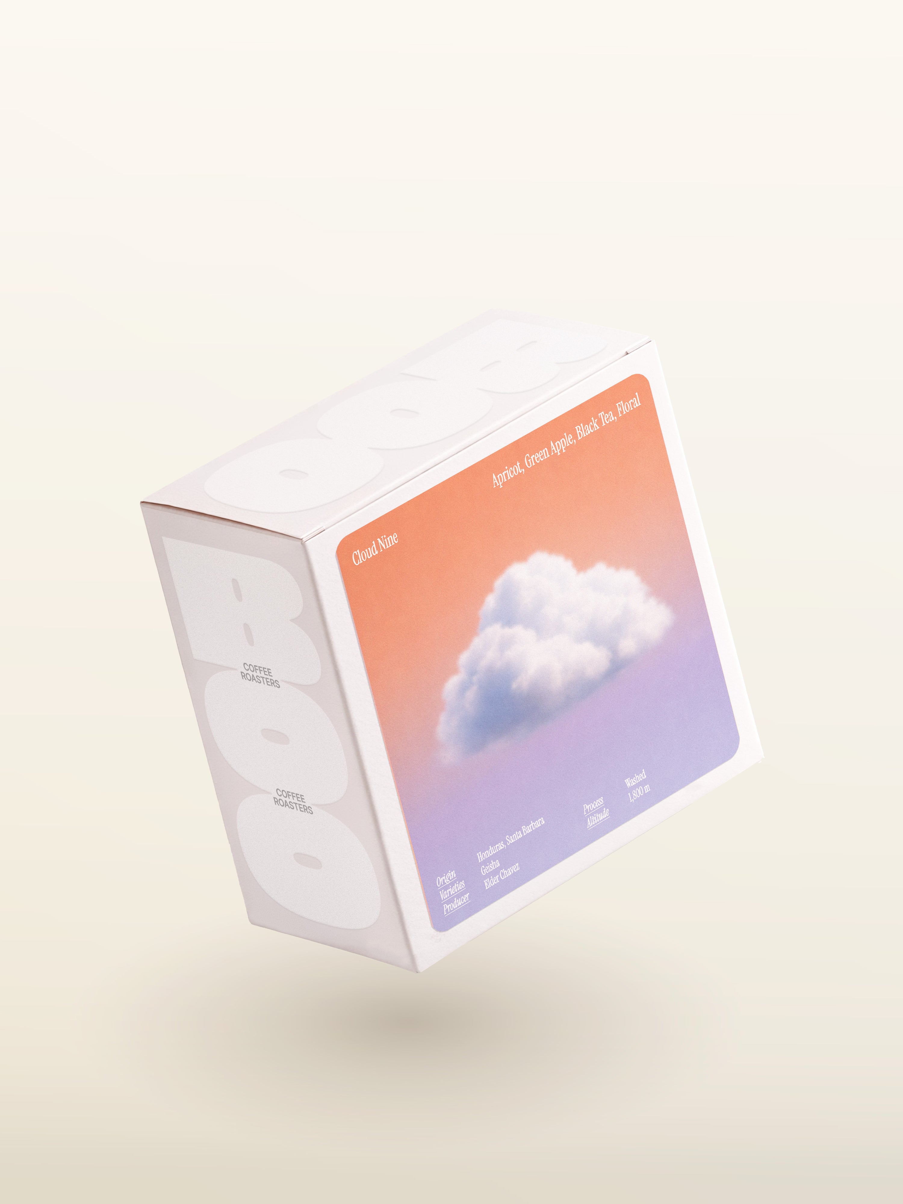 Cloud Nine - Elder Chavez