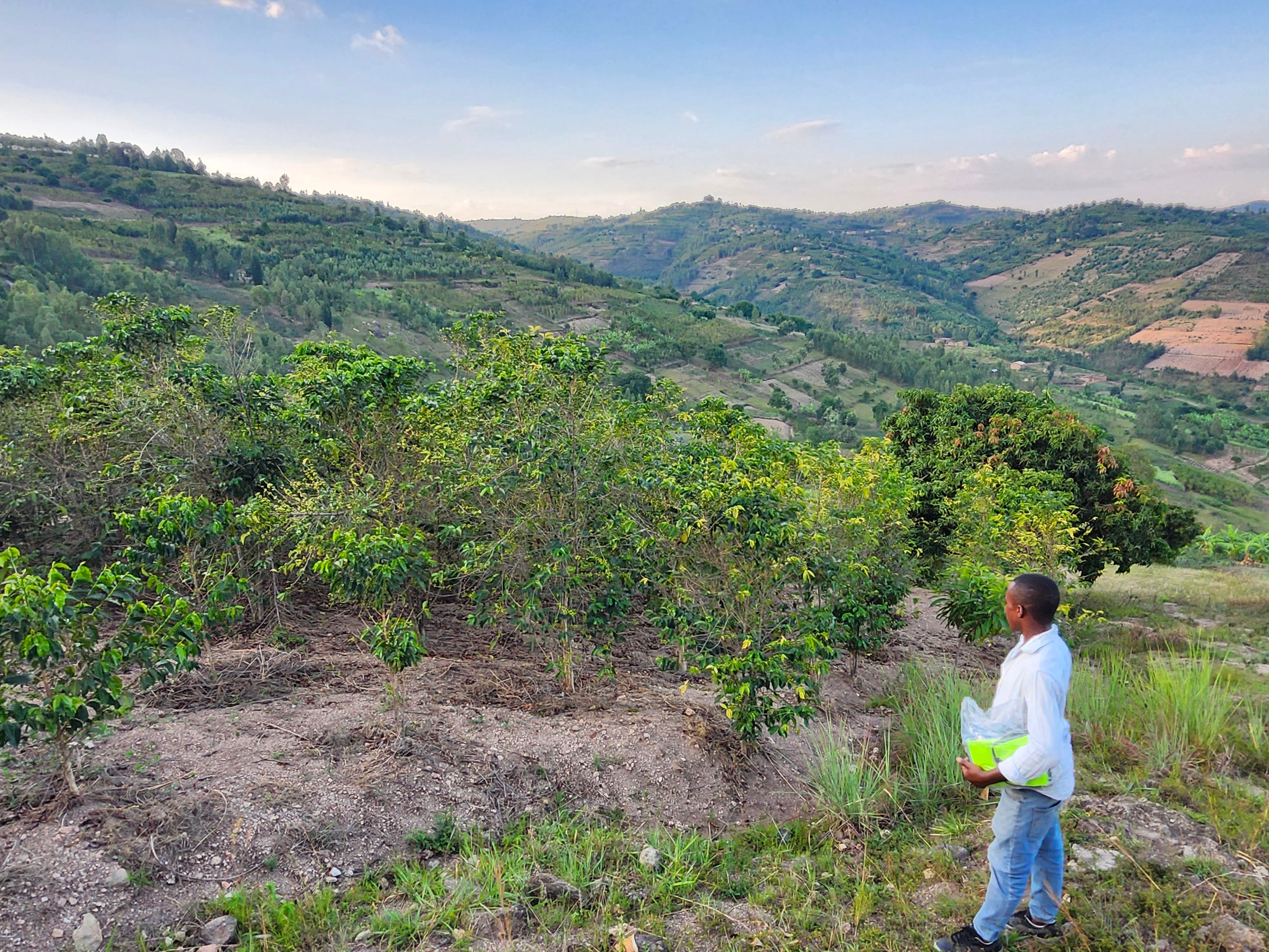 Rwanda - Mbare
