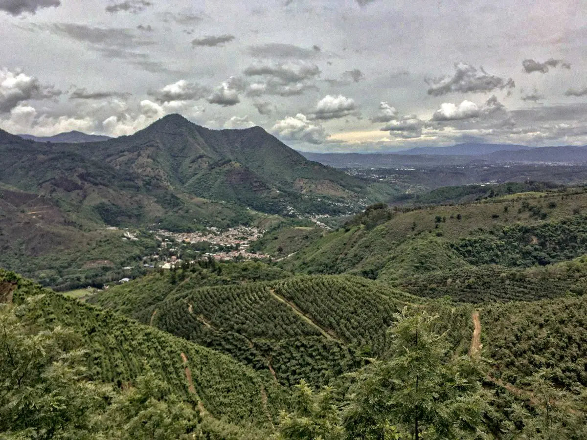 Cloud Nine - Finca Buena Vista