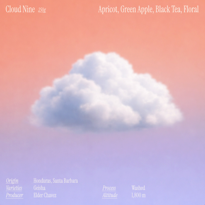 Cloud Nine - Elder Chavez