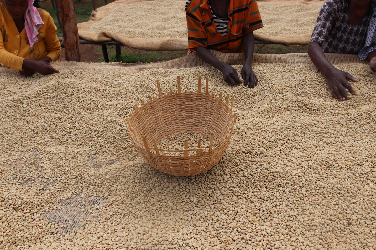 Ethiopia - Chelchele