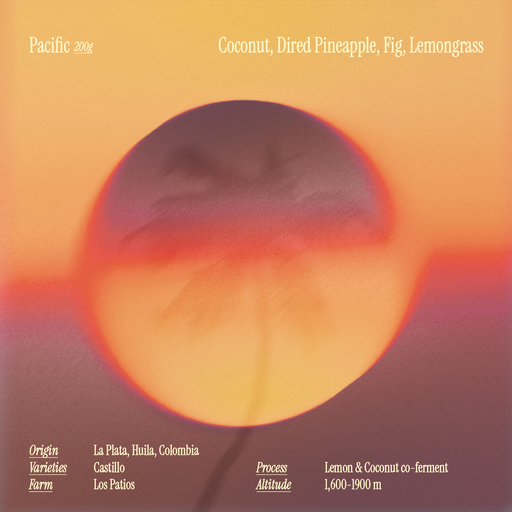 Limited Edition - Pacific
