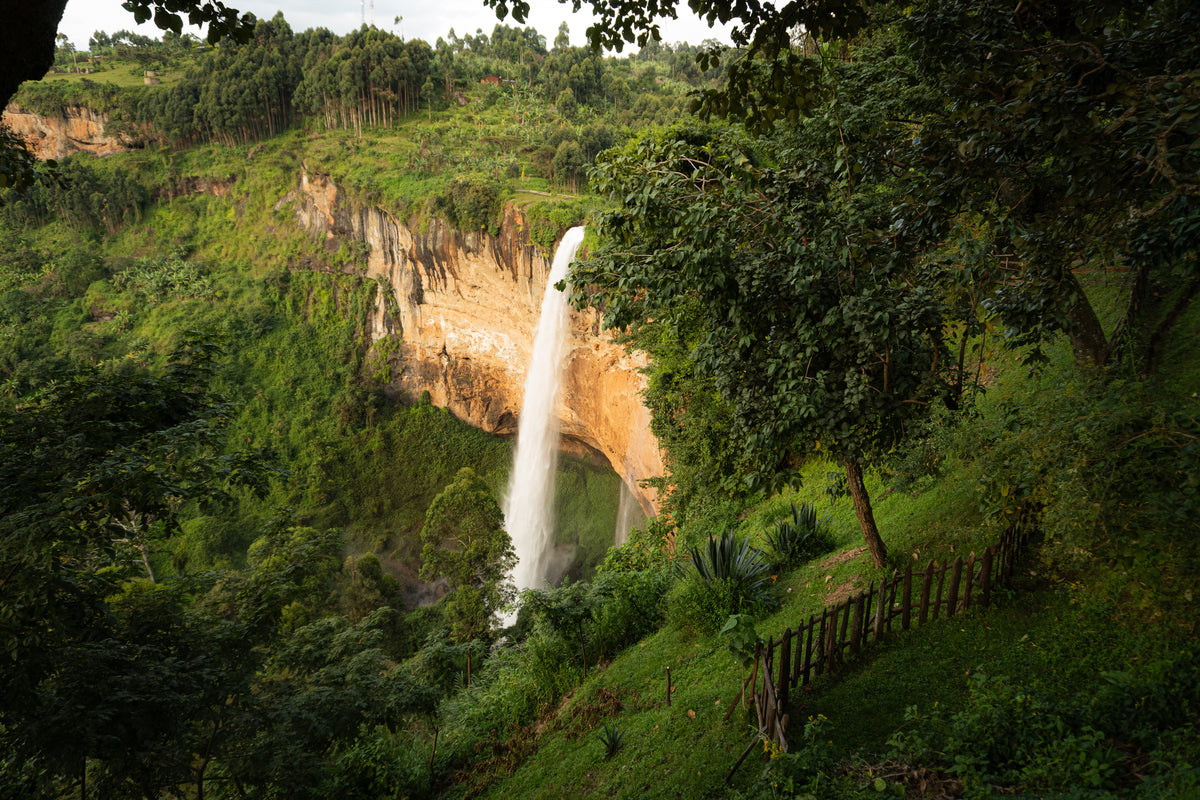 Uganda - Sipi