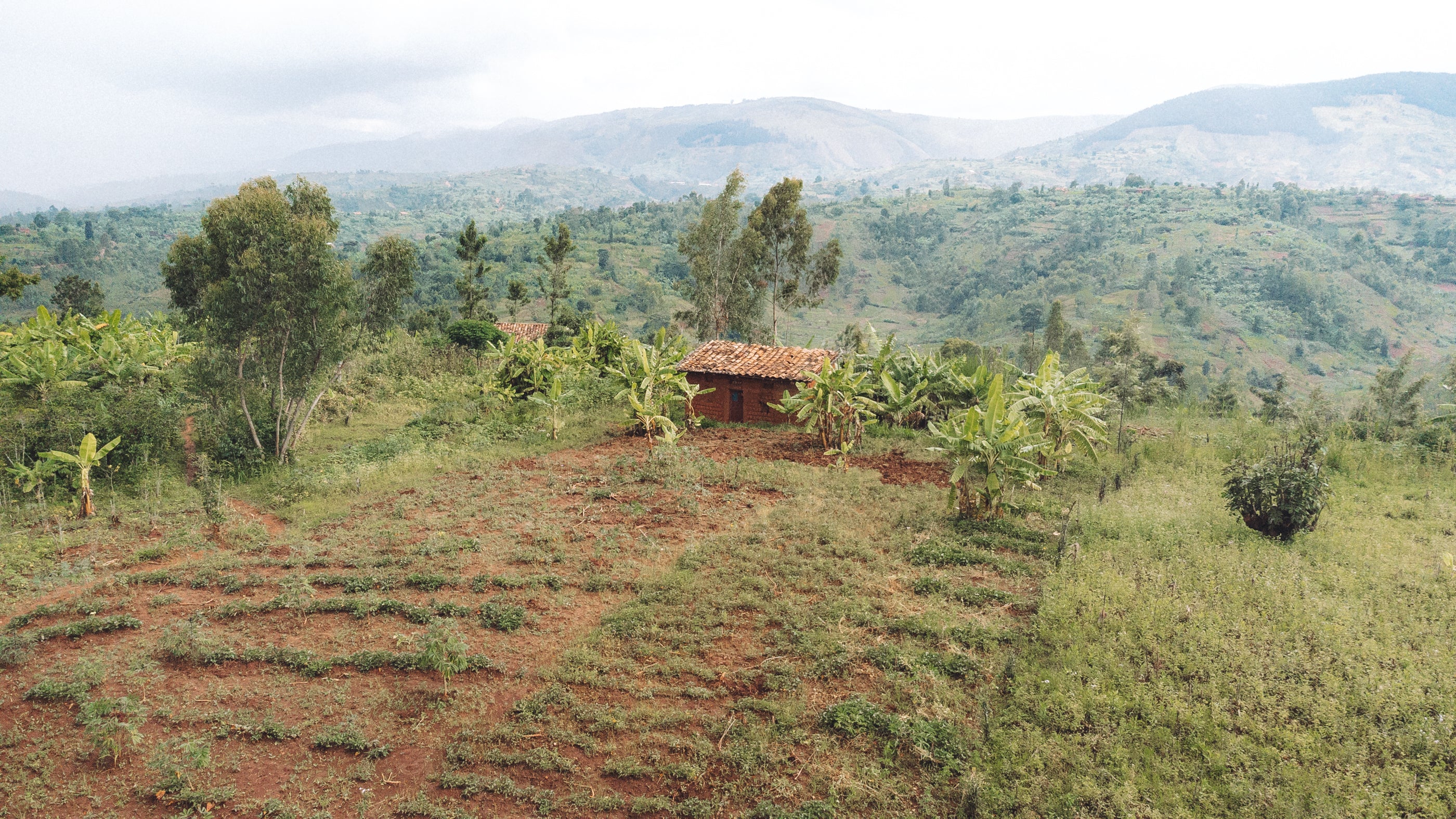 Burundi - Ninga Hill